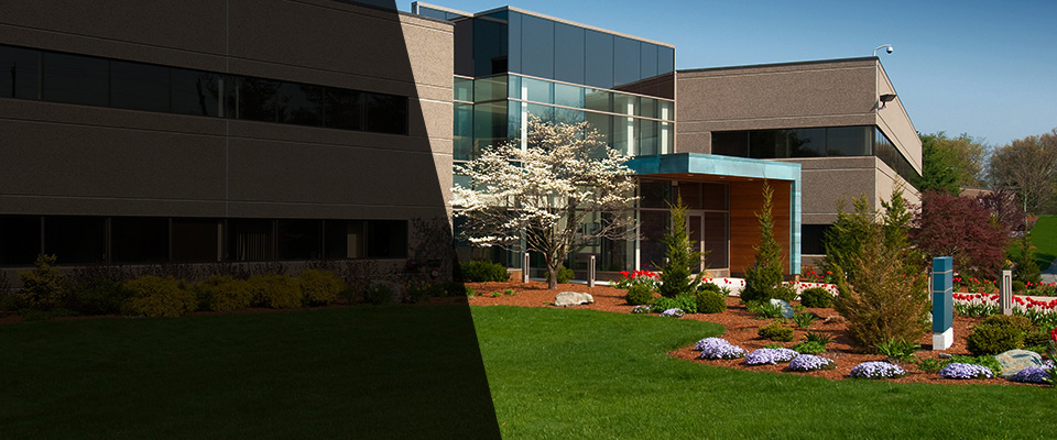 Groveland Landscapers